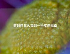 篮球杯怎么买球一份实用指南