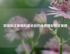 买球投注策略构建卓越的体育博彩投注策略