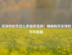 买球的软件这么多超多选择！揭秘购买足球软件的真相