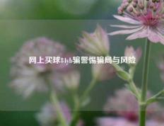 网上买球84yb骗警惕骗局与风险