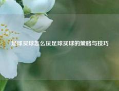 足球买球怎么玩足球买球的策略与技巧