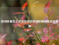 欧洲杯赛怎么买球如何在欧洲杯期间购买足球票
