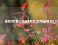 在哪买球最正规最正规的足球场在哪里？