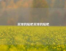 买球的贴吧买球的贴吧