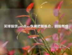 买球报效ga68点me恢阐把握机会，回报辉煌
