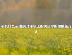 手机什么app能买球手机上购买足球的便捷新方式