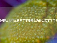 球博士为什么买不了了球博士为什么买不了了？