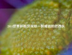 2014世界杯醉汉买球一醉成名的巴西队