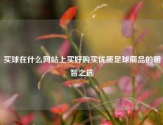 买球在什么网站上买好购买优质足球商品的明智之选