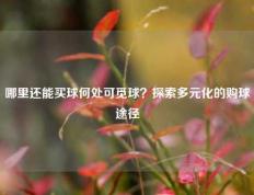 哪里还能买球何处可觅球？探索多元化的购球途径