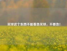 买球这个东西不能着急买球，不要急！