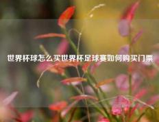 世界杯球怎么买世界杯足球赛如何购买门票
