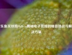 乐鱼买球捣98db in揭秘电子竞技的噪音挑战与解决方案