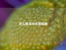 怎么能买球全面指南