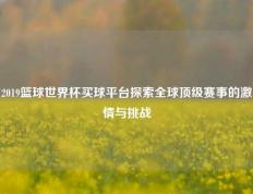 2019篮球世界杯买球平台探索全球顶级赛事的激情与挑战