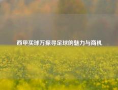西甲买球万探寻足球的魅力与商机