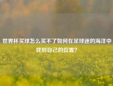 世界杯买球怎么买不了如何在足球迷的海洋中找到自己的位置？