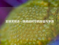 足球买球去一场跨越时空的友谊与梦想