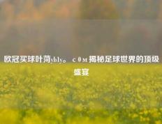 欧冠买球叶菏yb1y。с0м揭秘足球世界的顶级盛宴
