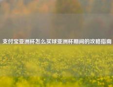 支付宝亚洲杯怎么买球亚洲杯期间的攻略指南