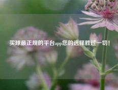 买球最正规的平台app您的选择胜过一切！