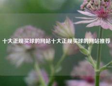 十大正规买球的网站十大正规买球的网站推荐