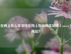 在网上怎么样买球在网上如何购买足球（soccer）用品？