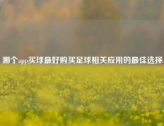 哪个app买球最好购买足球相关应用的最佳选择