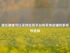 现在哪里可以买球在线平台和实体店铺的多样性选择