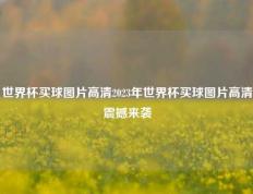 世界杯买球图片高清2023年世界杯买球图片高清震撼来袭