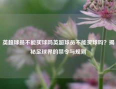 英超球员不能买球吗英超球员不能买球吗？揭秘足球界的禁令与规则