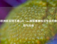 欧洲杯买球不错yb33丶me顶级赛事投注专家的推荐与分析