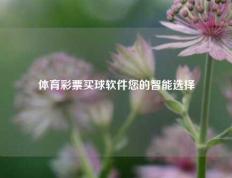 体育彩票买球软件您的智能选择