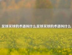 足球买球的术语叫什么足球买球的术语叫什么