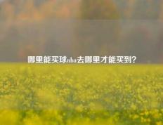 哪里能买球nba去哪里才能买到？