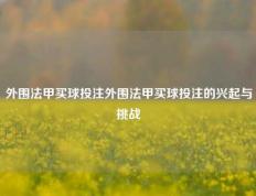 外围法甲买球投注外围法甲买球投注的兴起与挑战