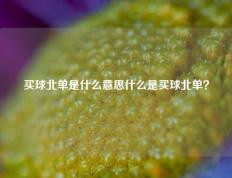 买球北单是什么意思什么是买球北单？