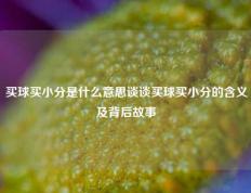 买球买小分是什么意思谈谈买球买小分的含义及背后故事