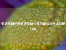 亚冠买球代理亚冠买球代理的现状与市场前景分析