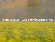世界杯买球bs18婰me腾飞从巴西到中超的飞跃