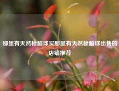 那里有天然樟脑球买那里有天然樟脑球出售的店铺推荐