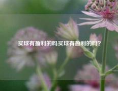 买球有盈利的吗买球有盈利的吗？
