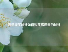 哪里能买球针如何购买高质量的球针