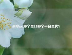 买球app那个更好哪个平台更优？