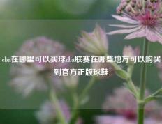cba在哪里可以买球cba联赛在哪些地方可以购买到官方正版球鞋