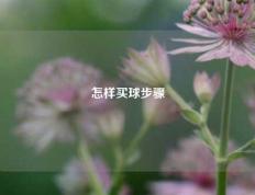 怎样买球步骤