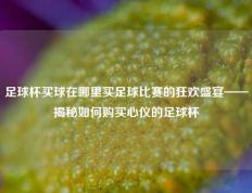 足球杯买球在哪里买足球比赛的狂欢盛宴——揭秘如何购买心仪的足球杯