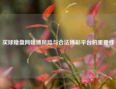 买球赌盘网赌博风险与合法博彩平台的重要性