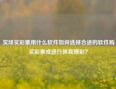 买球买彩票用什么软件如何选择合适的软件购买彩票或进行体育博彩？