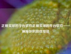 正规买球的平台软件正规买球的平台软件——保障你的游戏投资